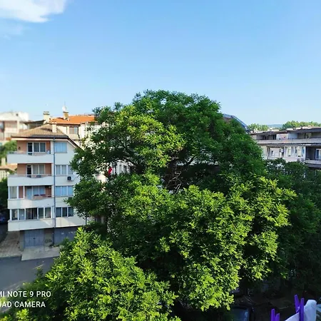 Above Varchev Warna